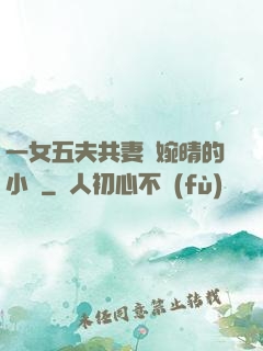 一女五夫共妻蘇婉晴的小說