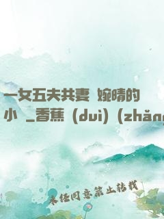 一女五夫共妻蘇婉晴的小說