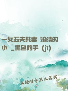 一女五夫共妻蘇婉晴的小說
