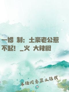 一婚兩制：土豪老公惹不起！