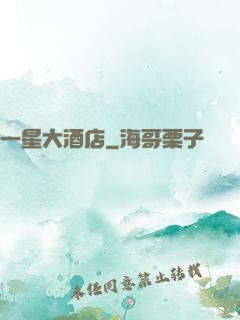 一星大酒店