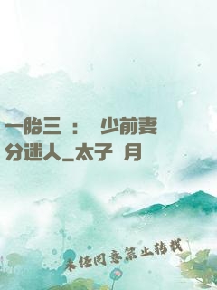 一胎三寶：陸少前妻過分迷人