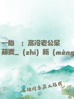 一胎兩寶：高冷老公呆萌妻