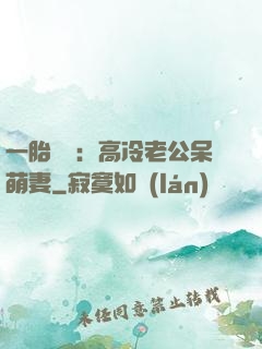 一胎兩寶：高冷老公呆萌妻