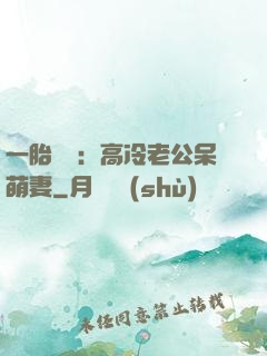 一胎兩寶：高冷老公呆萌妻