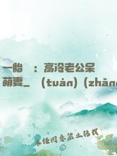 一胎兩寶：高冷老公呆萌妻