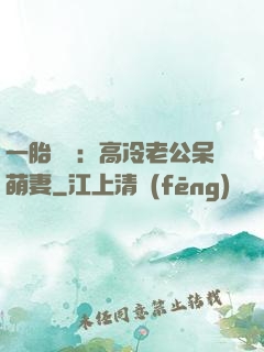 一胎兩寶：高冷老公呆萌妻