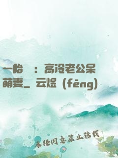 一胎兩寶：高冷老公呆萌妻