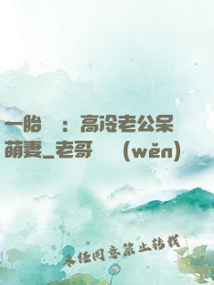一胎兩寶：高冷老公呆萌妻