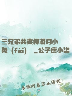 三兄弟共妻柳凝月小說免費(fèi)閱讀