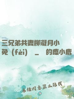 三兄弟共妻柳凝月小說免費(fèi)閱讀