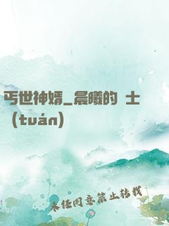 丐世神婿