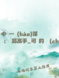 中華一號(hào)保鏢：極品高手