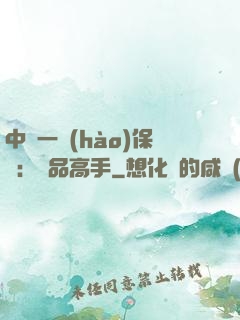 中華一號(hào)保鏢：極品高手