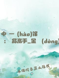 中華一號(hào)保鏢：極品高手