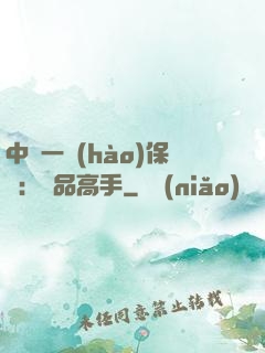 中華一號(hào)保鏢：極品高手
