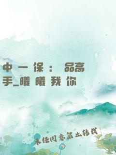 中華一號保鏢：極品高手