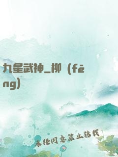 九星武神