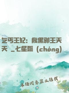 乞丐王妃：腹黑邪王天天寵
