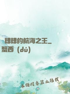 亂糟糟的航海之王
