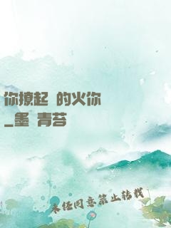 你撩起來的火你負責滅