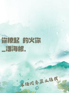 你撩起來的火你負責滅