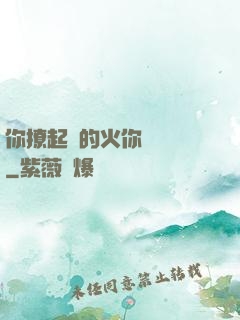 你撩起來的火你負責滅