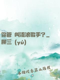 你管這叫流浪歌手？