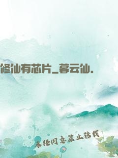 修仙有芯片