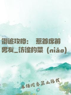 倒追攻略：誤惹首席前男友