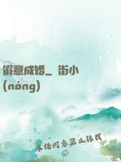 假意成婚