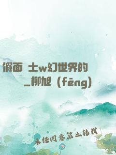 假面騎士w幻世界的蓋亞記憶體