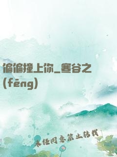偏偏撞上你