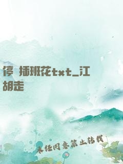 停電插班花txt