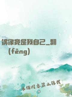 偶像竟是我自己