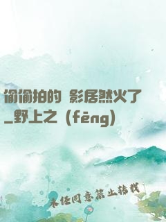 偷偷拍的電影居然火了