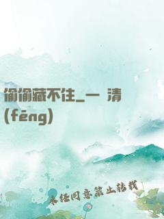 偷偷藏不住