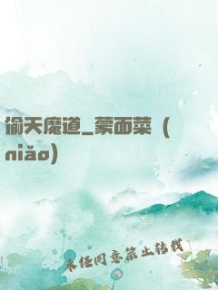 偷天魔道