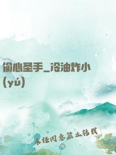 偷心圣手