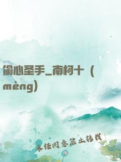 偷心圣手