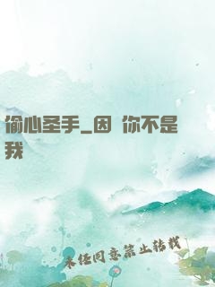 偷心圣手