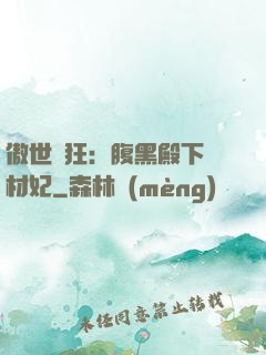 傲世鳳狂：腹黑殿下廢材妃
