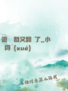 傲嬌總裁又翻車了