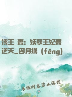 傻王寵妻：妖孽王妃要逆天