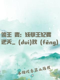 傻王寵妻：妖孽王妃要逆天