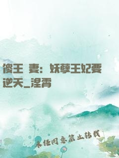 傻王寵妻：妖孽王妃要逆天
