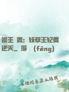 傻王寵妻：妖孽王妃要逆天