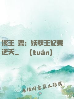 傻王寵妻：妖孽王妃要逆天