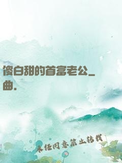 傻白甜的首富老公