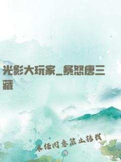光影大玩家